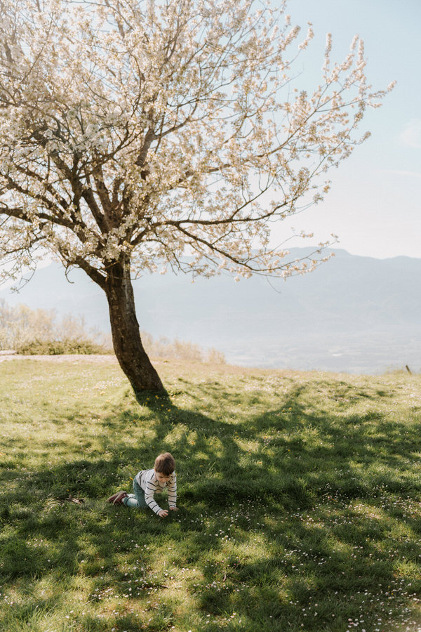 portfolio photographe famille