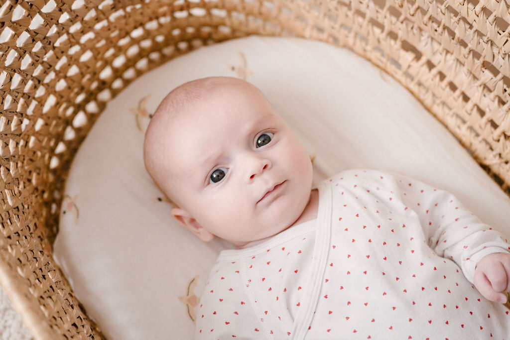 photo bebe studio grenoble